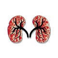 Human kidneys hand drawing illustration.