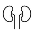 Human kidneys icon, isolated on white background. Vector, lined style symbol.