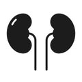Human kidneys icon, isolated on white background. Vector pictogram.