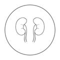 Human kidneys icon in outline style isolated on white background. Human organs symbol stock vector illustration.