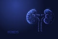 Human kidneys low poly concept vector illustration.