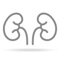 Human Kidneys, Nephrology Icon In Trendy Thin Line Style Isolated On White Background. Medical Symbol For Your Design