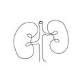 Human kidneys one line art. Continuous line drawing of human, internal, organs, kidneys, ureters, excretory system.