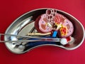 Human kidneys on operating table and medical instrument