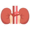 Human kidneys organ icon, vector illustration