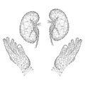 Human kidneys organ and two holding, protecting hands from abstract futuristic polygonal black lines and dots