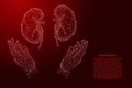 Human kidneys organ and two holding, protecting hands from futuristic polygonal red lines and glowing stars for banner, poster,