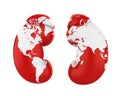 Human Kidneys with World Map. World Kidney Day Concept