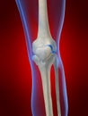 Human knee Royalty Free Stock Photo