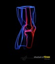 Human Knee Anatomy View isolated black, 3d Illustration Royalty Free Stock Photo