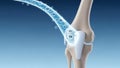 Human knee joint with calcium molecules flowing into bone structure image Royalty Free Stock Photo