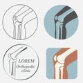 Human knee joint Royalty Free Stock Photo