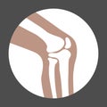 Human knee joint Royalty Free Stock Photo