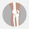 Human knee joint Royalty Free Stock Photo