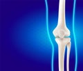 Human leg and knee bones on blue background