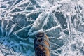 Human legs in hiking boot in ice crampons on the texture Baikal Royalty Free Stock Photo