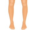 Human legs vector illustration