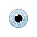 Human light blue eyeball iris pupil isolated on white background. Eye Royalty Free Stock Photo