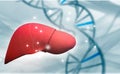 Human liver anatomy with dna structure