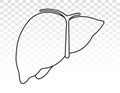 Human liver anatomy line art icon for apps and websites Royalty Free Stock Photo