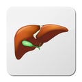 Human Liver Anatomy on medical background. 3d illustration, icon