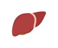 A human liver anatomy, organ logo design. Hepatology and gastroenterology. Prevention of liver disease. Gallbladder Anatomy.