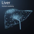 Human liver anatomy organ translucent low poly triangle futuristic glowing.