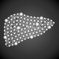 Human Liver On A Black Background. Vector Illustration.