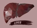 Human liver in triangulation style. Vector graphics