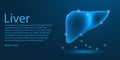 Human liver medical organ. low poly wireframe theme concept on blue background. Illustration vector