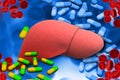 Human liver and medical therapy
