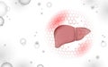 Human liver reconstruction therapy medical concept. Pharmacy drugstore banner cure recover hepatitis health care. Low