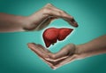 The concept of a healthy liver. Royalty Free Stock Photo