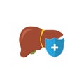Human liver under protection. Blue shield and healthy liver in cartoon style. Vector illustration Royalty Free Stock Photo