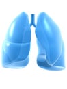 Human lung Royalty Free Stock Photo