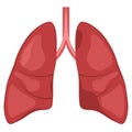 Human Lung anatomy diagram Royalty Free Stock Photo