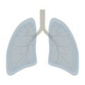 Human Lung anatomy illustration . Illness respiratory cancer gra Royalty Free Stock Photo