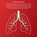 Human Lung anatomy illustration Royalty Free Stock Photo