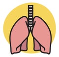 Human Lung - Illustration Royalty Free Stock Photo