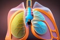 Human Lung Illustration Generative AI Royalty Free Stock Photo