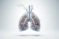 Human Lung With Smoke, Emphasizing The Importance Of No Tobacco Day
