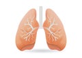 Human lung vector. Royalty Free Stock Photo