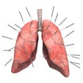 Human lungs with acupuncture needles. Acupuncture treatment of lungs concept, 3D rendering