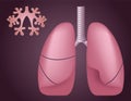 Human lungs alveoli . Medical science / anatomy