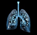 Human lungs with alveolis, medically 3D illustration Royalty Free Stock Photo