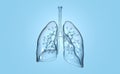 Human lungs with alveolus, medically 3D illustration Royalty Free Stock Photo