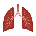 Human lungs anatomy diagram. Illness respiratory cancer graphics, bronchial system. Organ symbol Royalty Free Stock Photo