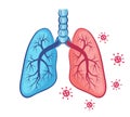 Human lungs anatomy icon. Breath organ. Coronavirus infection, pneumonia disease of respiratory system. Mutation Covid-19. Vector