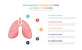 Human lungs anatomy infographic template concept with five points list and various color with clean modern white background - Royalty Free Stock Photo