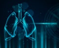 Human Lungs Background Royalty Free Stock Photo